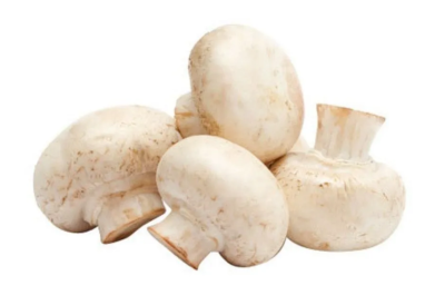 Cultivating button mushrooms Spawns buy 1kg,5kg price,use,dose