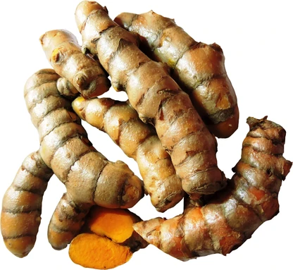 Fresh turmeric /raw turmeric/organic kachi haldi (100% Chemical free) -First Delivery