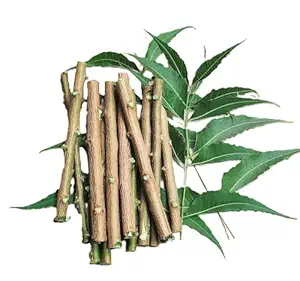 Fresh NEEM DATUN/Toothbrush / ORAL HERBAL TEETH Chewing Sticks