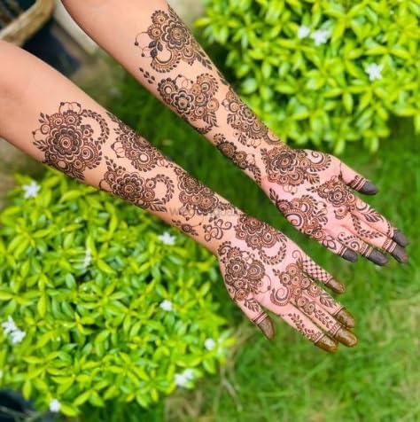Henna Mehndi Plant (Lawsonia inermis) मेहंदी का पौधा – Live Henna Plant for Balcony & Outdoor Garden - Image 6