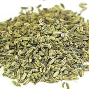 organic anise-seeds-saunf