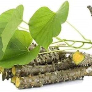 Giloy Plant (Tinospora cordifolia) – Live Healthy Plant for Home Garden