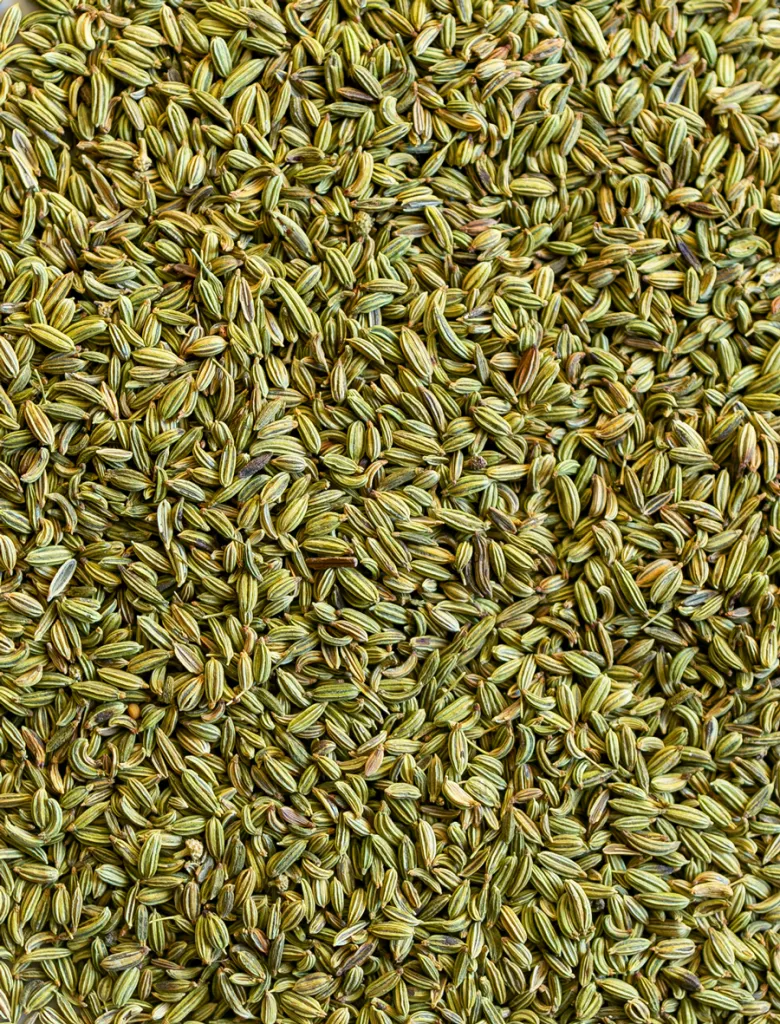 Fram Fresh Fennel Seeds Chemical free – First Delivery
