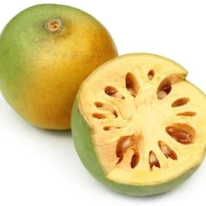 Fresh bel fruit / beal fruit - First Delivery