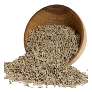 Fresh Cumin Seeds (Jeera) – Pure, Aromatic & Natural