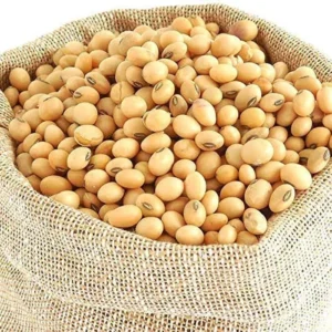 Whole Soybean Nuts