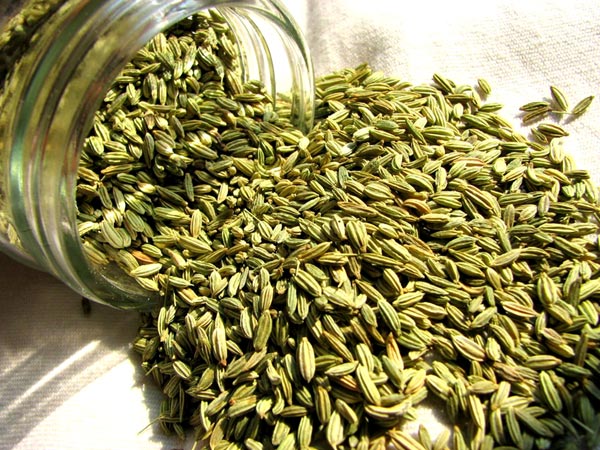 Fram Fresh Fennel Seeds Chemical free – First Delivery - Image 2
