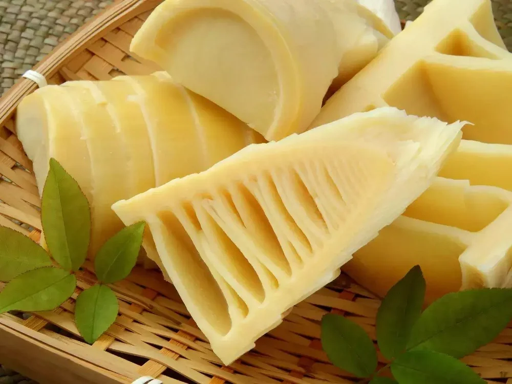 Farm Fresh Soft Bamboo Shoots (Not Dry)- ( First Delivery by Bluedart Air courier) - Image 3
