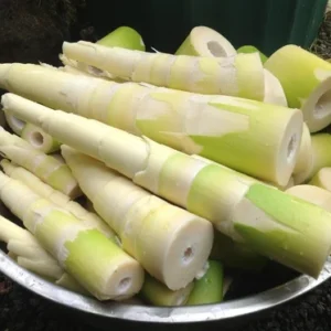 Farm Fresh Soft Bamboo Shoots  (Not Dry)- ( First Delivery by Bluedart Air courier)