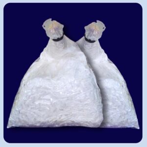 Milky Mushroom Spawn (Calocybe indica) – First Generation High-Yielding Spawn for Home Cultivation (Bluedart Air Courier)