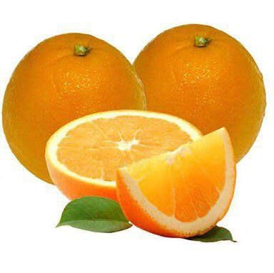 Vietnam All Time Malta Mosambi Hybrid Fruit Plant | Citrus × limetta Premium Grafted Sweet Lime Live Plant for Home Garden - Image 3