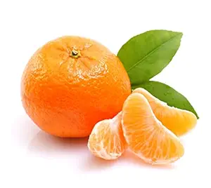 Nagpur Mandarin All Time Orange Plant – Sweet & Juicy Citrus Fruit Tree - Image 2