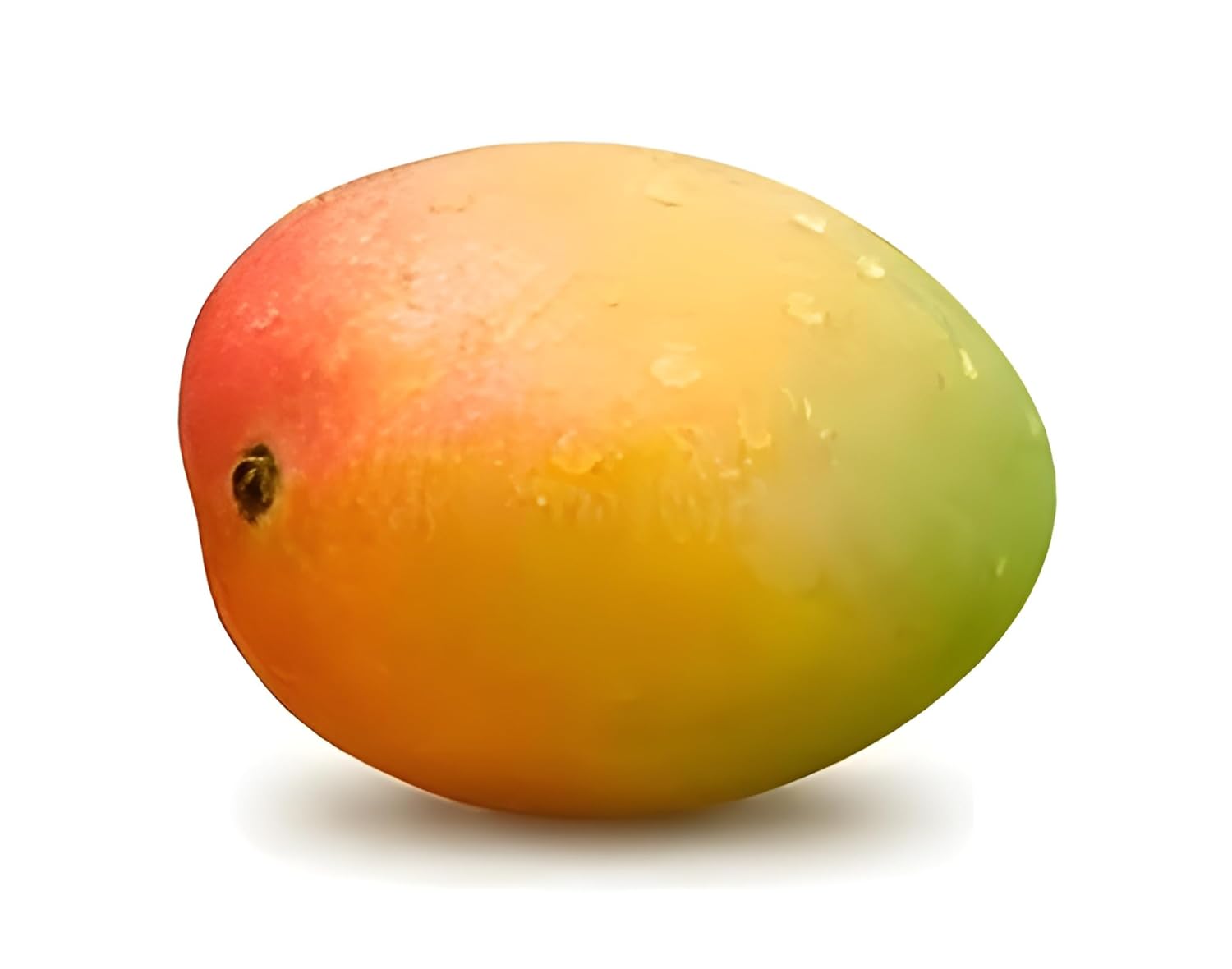Sukul Mango Grafted Fruit Plant – High Yield Sweet Mango Variety - Image 2