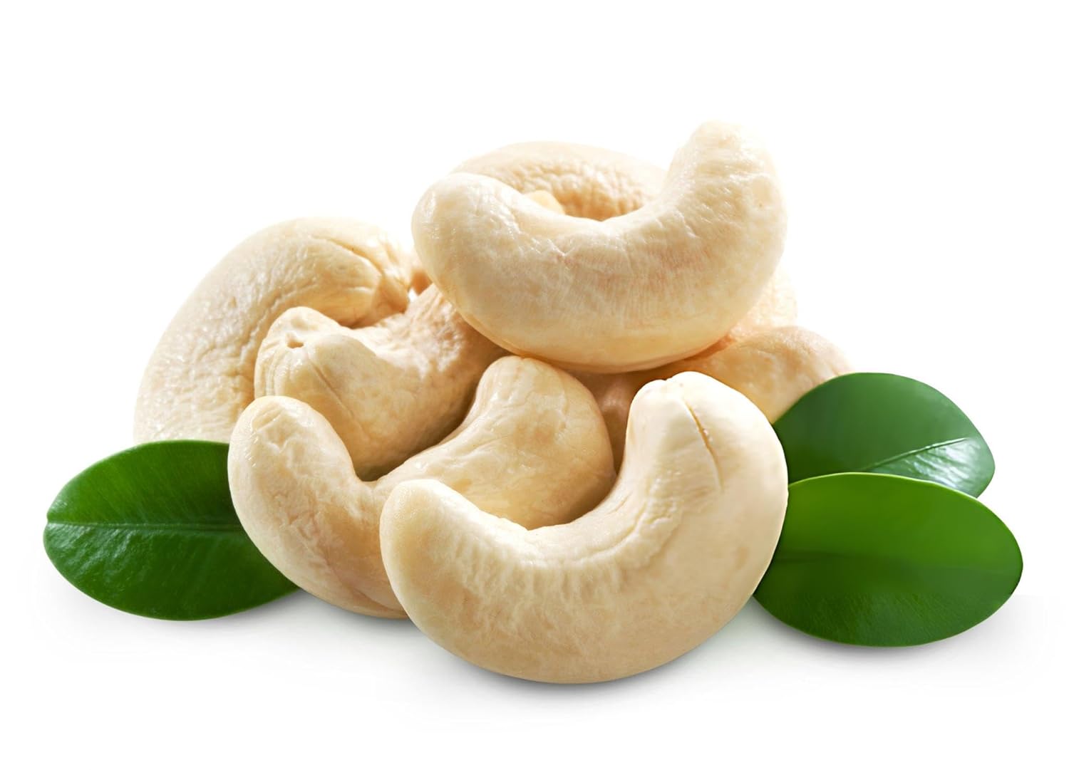 Kaju (Cashew Nut) Fruit Plant | Anacardium occidentale Premium Live Cashew Tree for Home Garden - Image 2