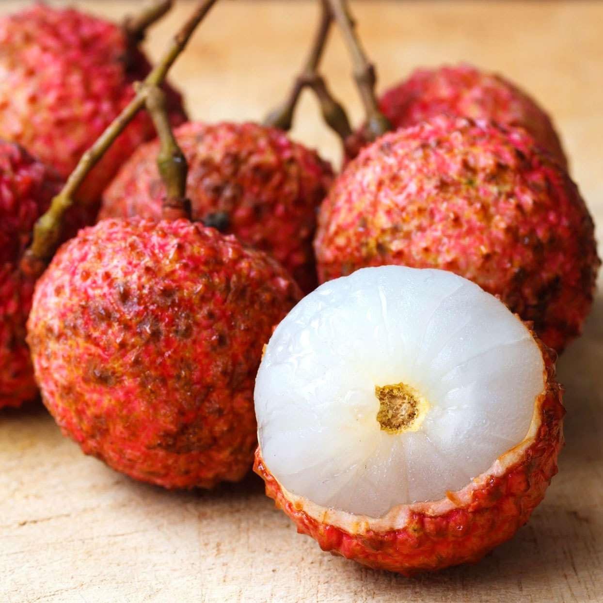 Bombai Litchi (Lychee) Layering/Grafted Fruit Plant | Litchi chinensis Premium Live Fruit Tree for Home Garden - Image 3