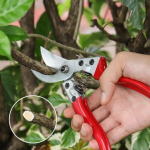 Heavy Duty Gardening Scissor | Professional Pruning Shears, Plant Cutter & Branch Trimmer for Garden