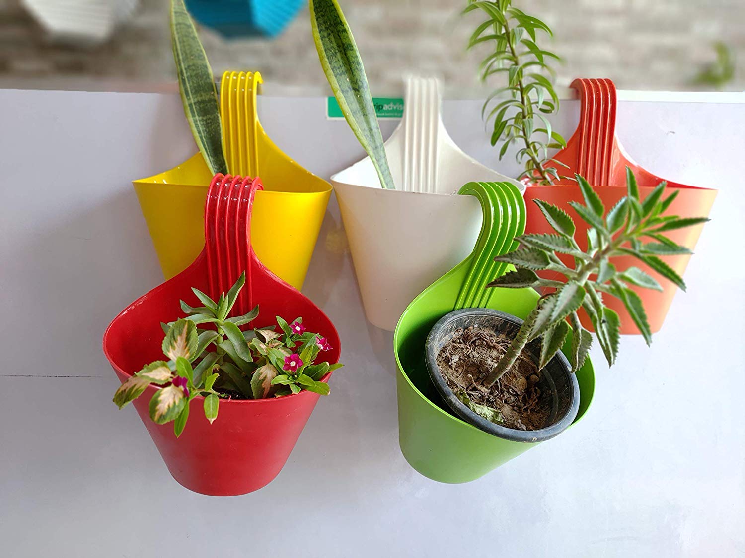 Plastic Vertical Hook for Hanging Plants | Durable Hanging Plant Hook (Colour May Vary)