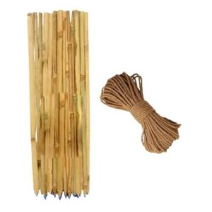 Bamboo Sticks For Plant Support For Garden