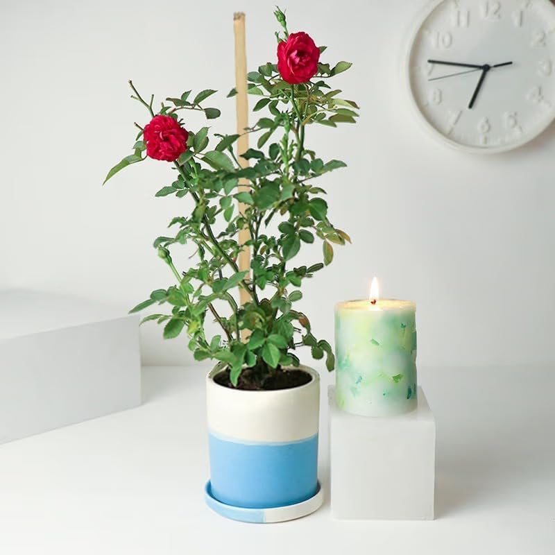 Bamboo Sticks For Plant Support For Garden - Image 3