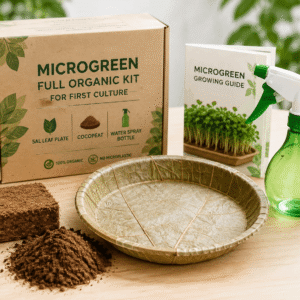 Microgreen Growing Kit – Organic Sal Leaf Plate, Cocopeat & Water Spray Bottle | Beginner Starter Kit