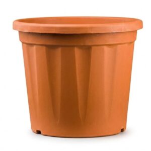 Red Plastic Pot ( 4Inch*3.5Inch ) ( Plant Not Include)